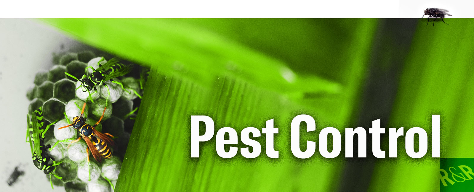Pest Control by R&R Landscape and Environmental